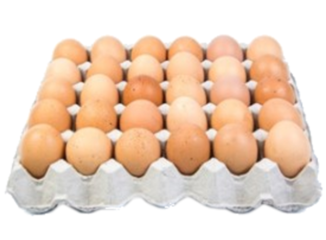 Groceries Grocery Marshwood Eggs NPM 30s 8